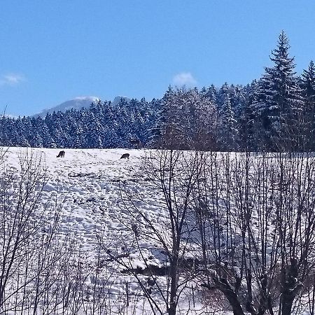 La Ferme Du Bois Barbu 호텔 빌라르 드 랑 외부 사진