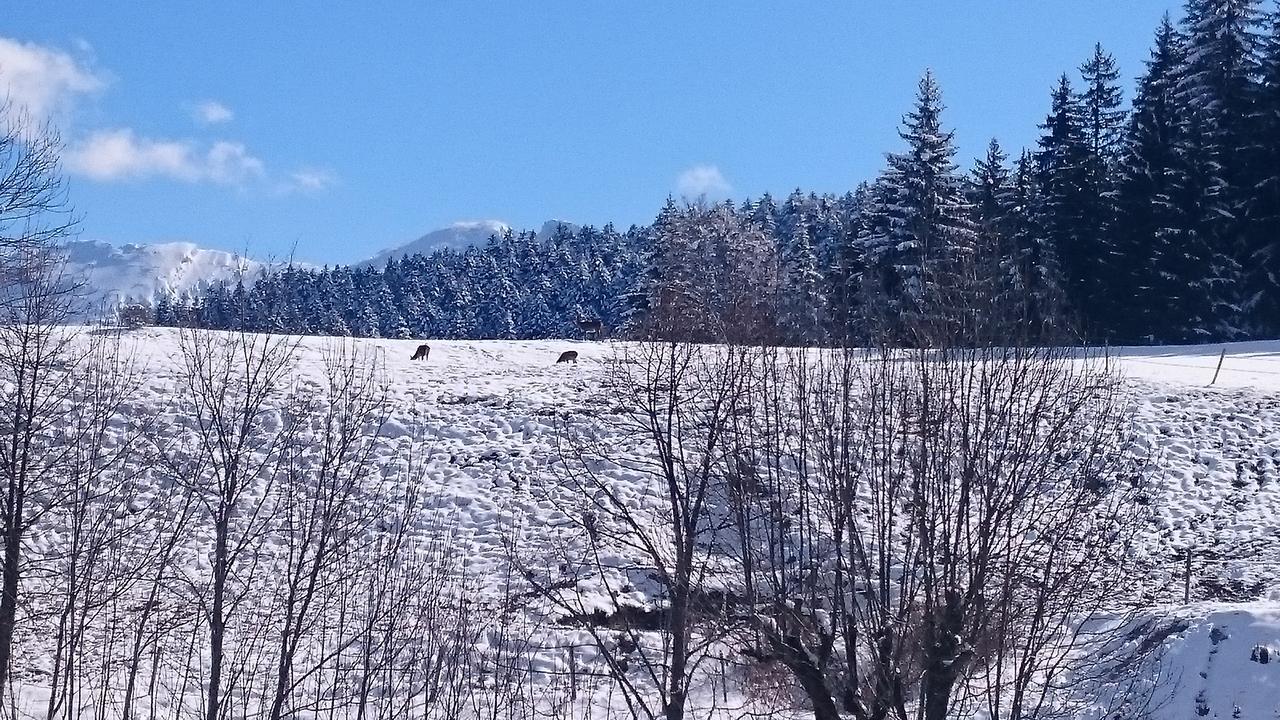 La Ferme Du Bois Barbu 호텔 빌라르 드 랑 외부 사진